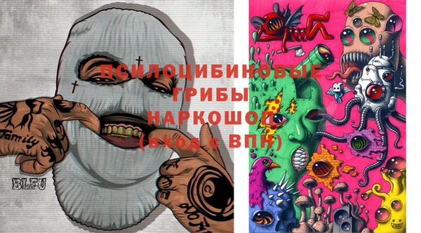 молекула духа Киренск
