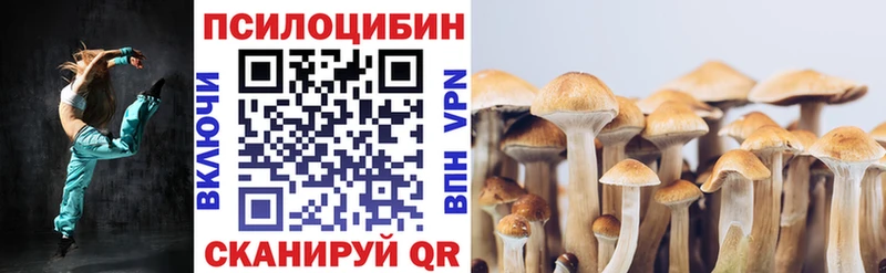 Галлюциногенные грибы Psilocybe  Купить закладки  Таштагол 